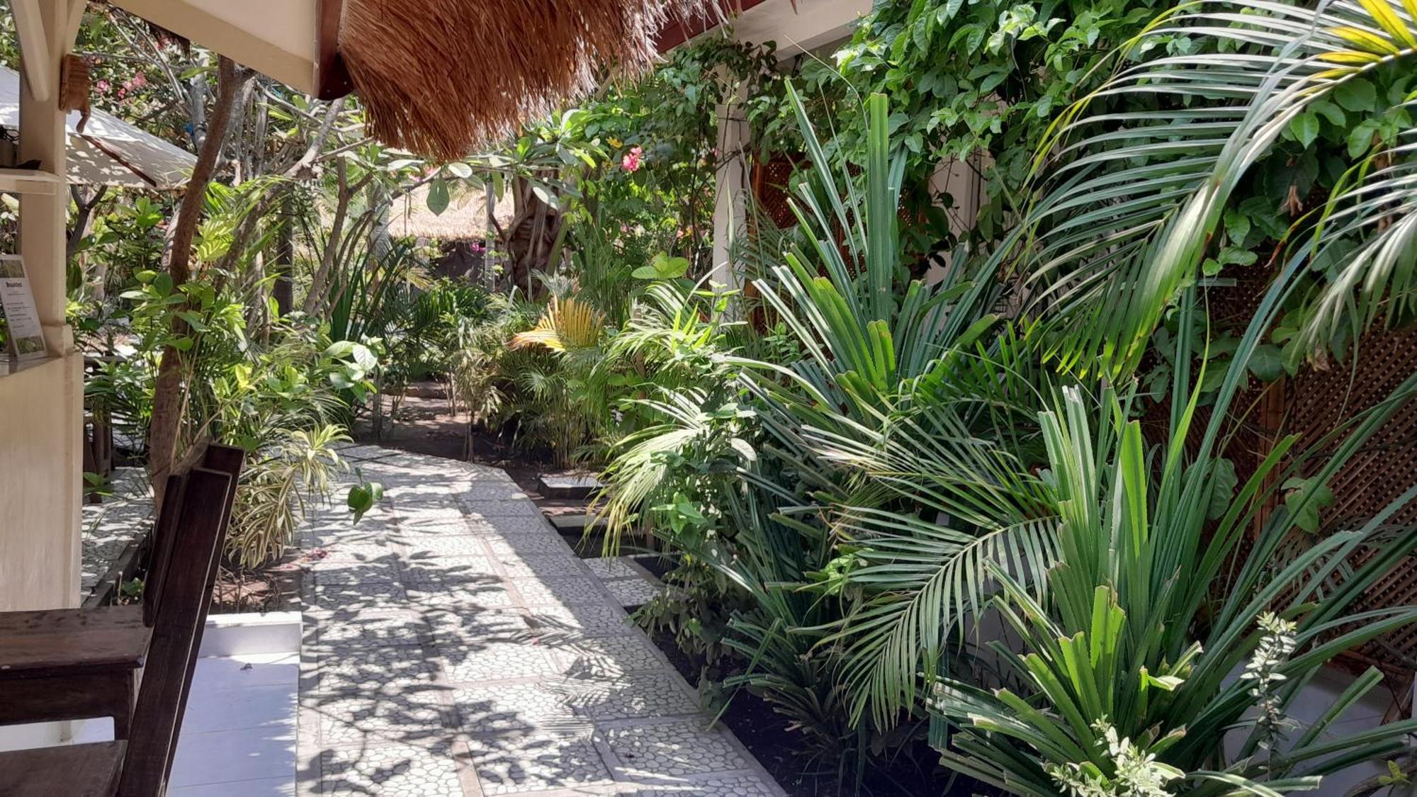 Wombat'S B&B Gili Trawangan Exterior foto